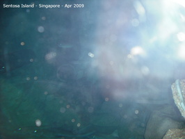 20090422 Singapore-Sentosa Island  25 of 38 